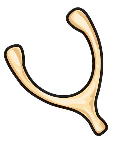 wishbone.jpg